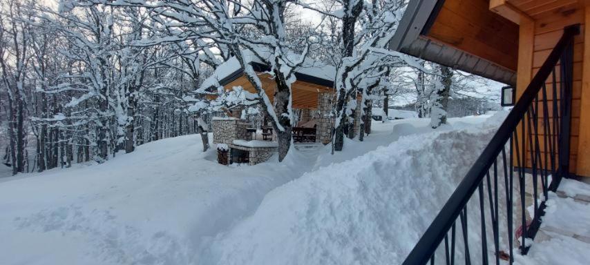 Vila Sun Forest Žabljak Eksteriør billede