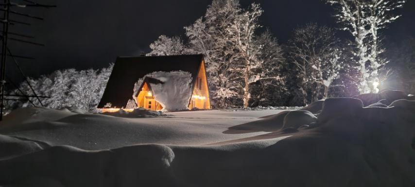 Vila Sun Forest Žabljak Eksteriør billede