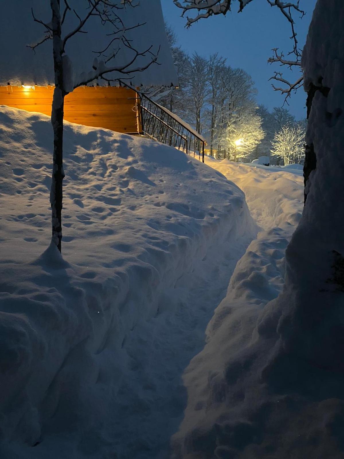 Vila Sun Forest Žabljak Eksteriør billede