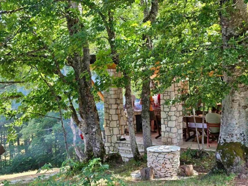 Vila Sun Forest Žabljak Eksteriør billede